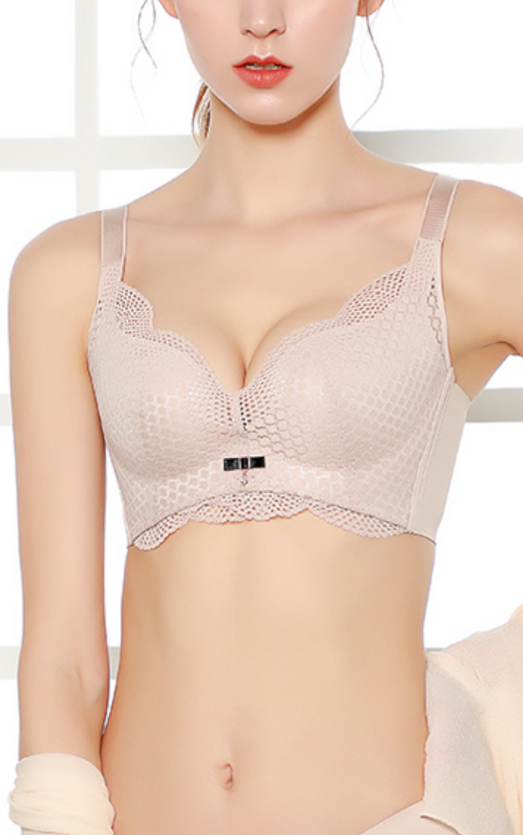 Elegant Seamless Push Up Lace Bra For Women With Cute Charm #11690
